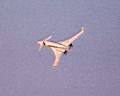 Starship - 25,000 feet.jpg